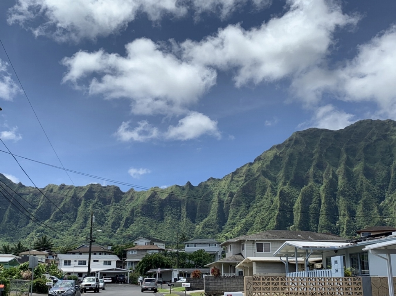 後ろに見えるのが、蒸溜所の名前にもなったコオラウ山脈。