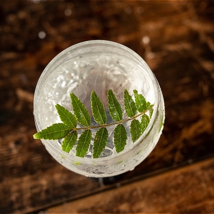 山椒のジントニック