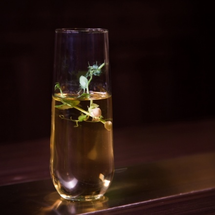 ヒルズ・ライク・ホワイト・エレファンツ