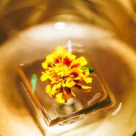 ナンバーシックス