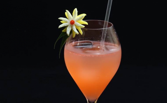 カクタス フラワーCactus Flower