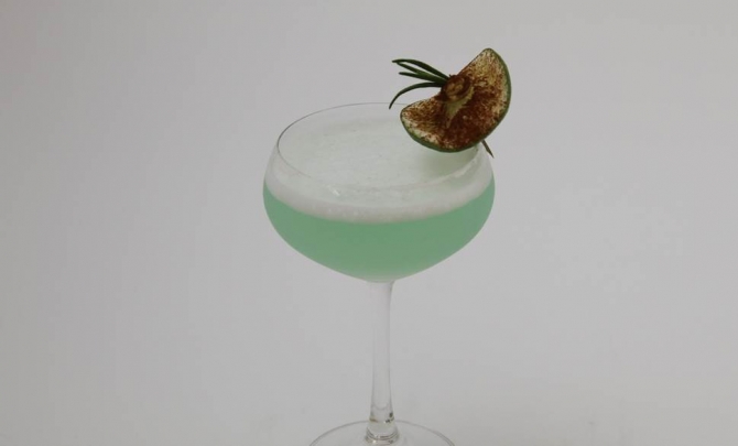 アガベ ドリームAgave Dream